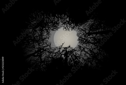 Halloween grey moon with trees photo