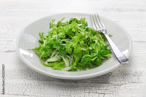 cilantro salad  coriander salad