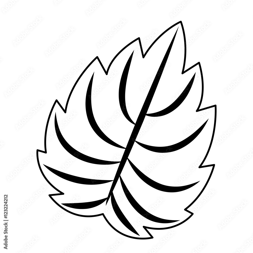 Leaf icon. Plant floral garden nature theme. Isolated design. Vector illustration Leaf icon. Plant floral garden nature theme. Isolated design. Vector illustration