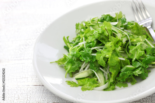 cilantro salad, coriander salad
