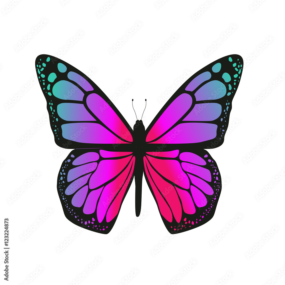 The butterfly with pink wings The butterfly with pink wings