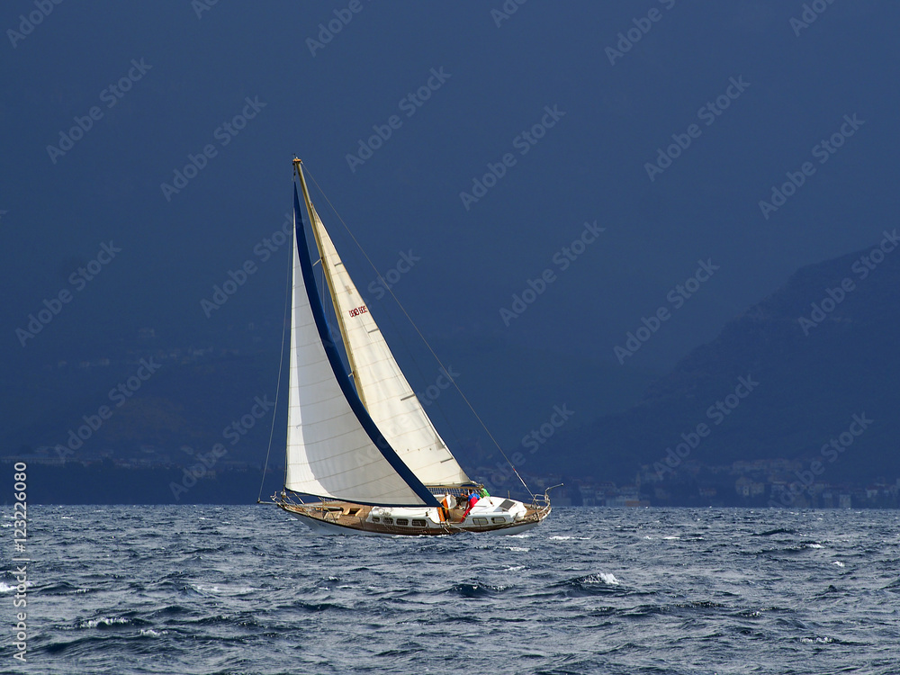 Fototapeta premium OLYMPUS DIGITAL CAMERA