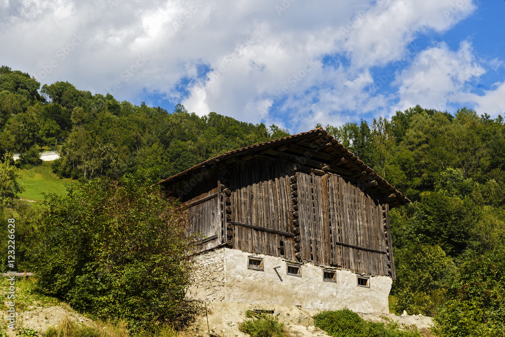 Idyllic summer landscape in the Alps with fresh green mountain