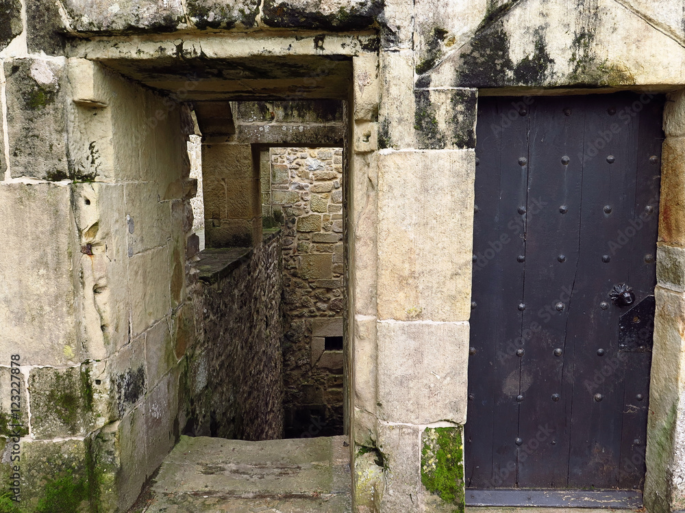 Fototapeta premium castle in europe