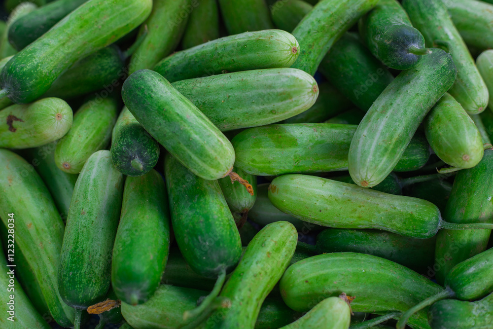 cucumber cucumber