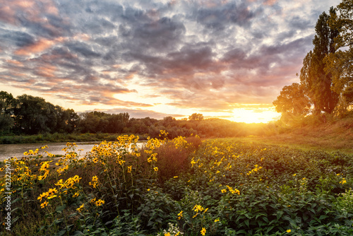 Colorful sunset over a river and meadow of yellow autumn flowers