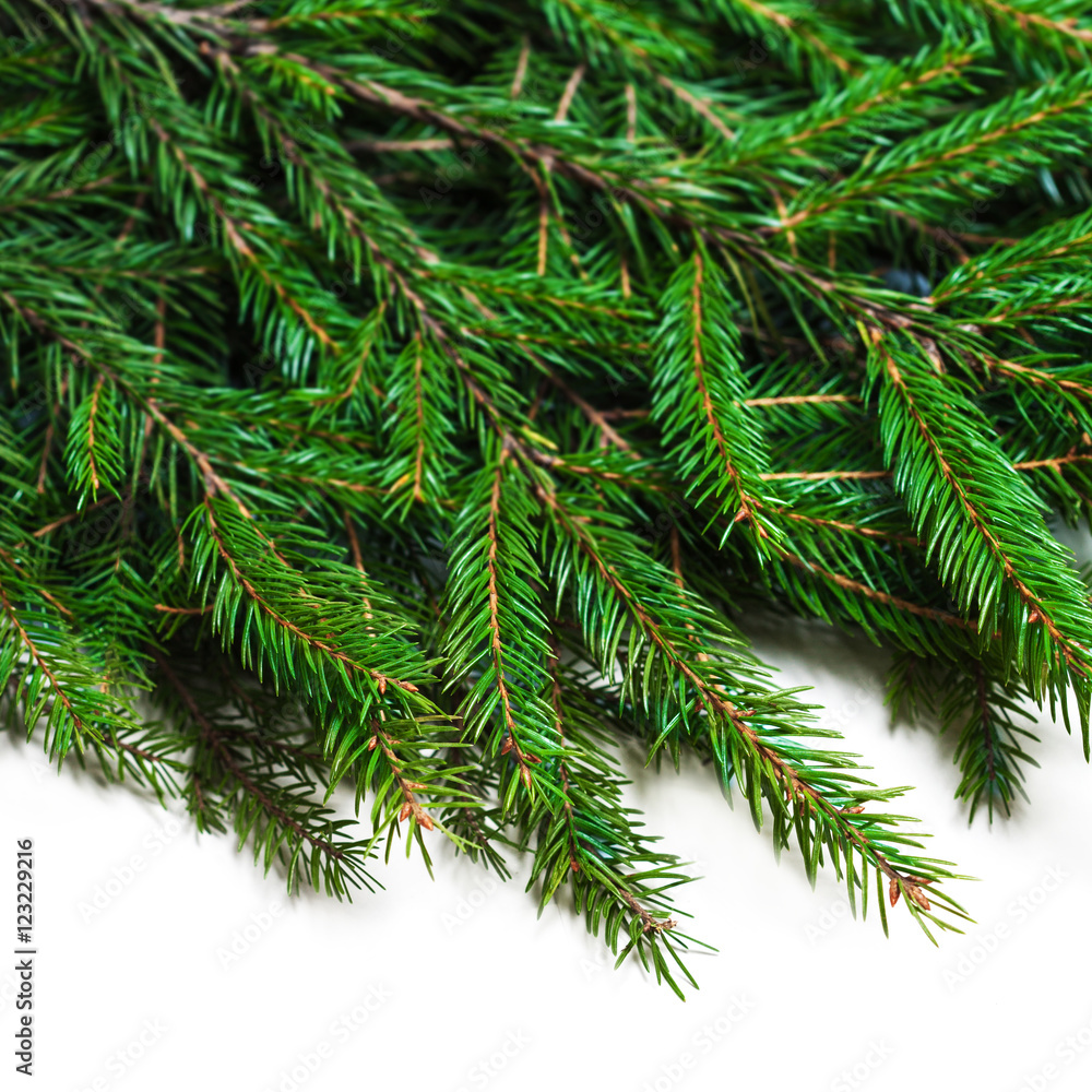 Christmas card with fir tree branch isolated on white background Christmas card with fir tree branch isolated on white background
