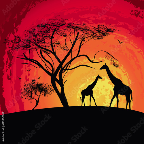 silhouette of a giraffe   sunset in Africa   landscape   vector