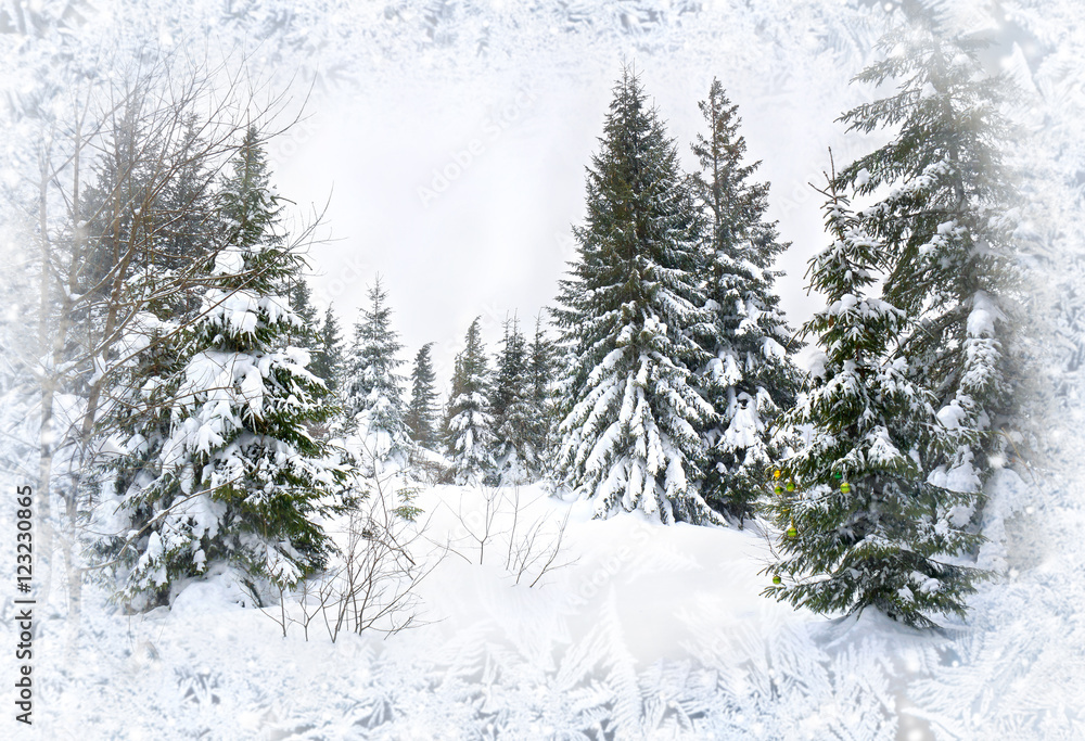 Naklejka premium Winter fir forest in snow on background frosty pattern of winter