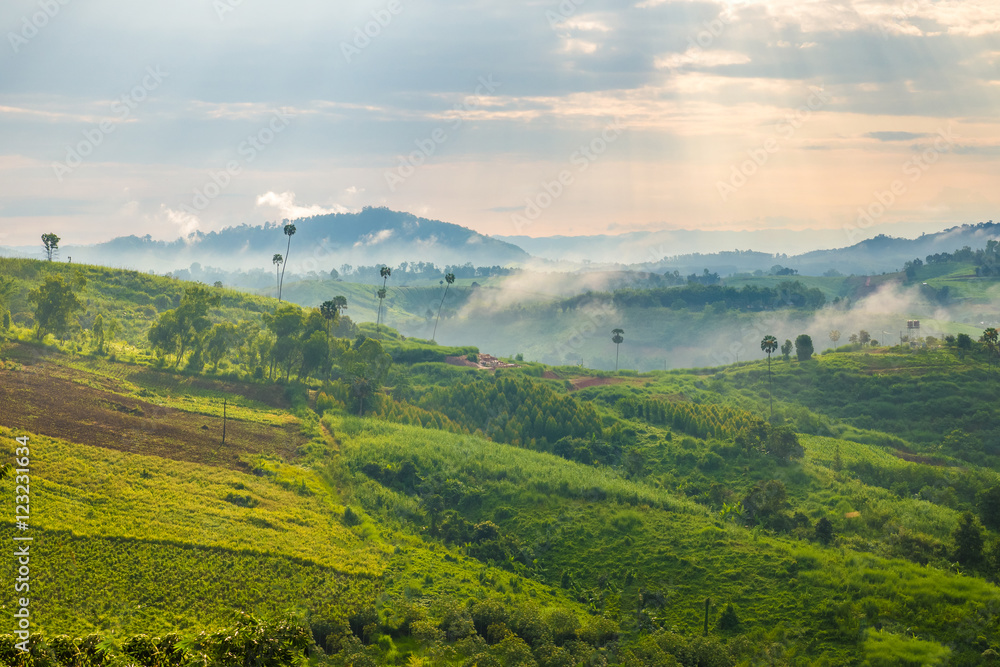 Naklejka premium Mountain Mist, at Khao-kho Phetchabun,Thailand
