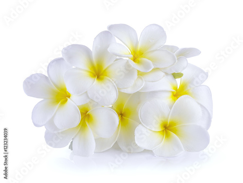 Frangipani flower isolated on white background © sommai