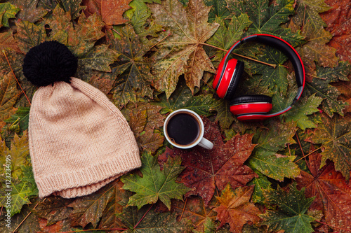 Hat, hedphones and a cup of coffee on the maple leaves background.