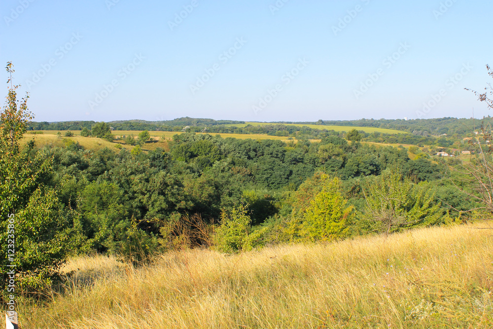 Summer landscape with meadow, trees and hills Summer landscape with meadow, trees and hills