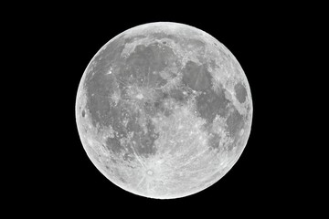 Fototapete Vollmond Vollmond Nahaufnahme mit Kratern  © Gudellaphoto