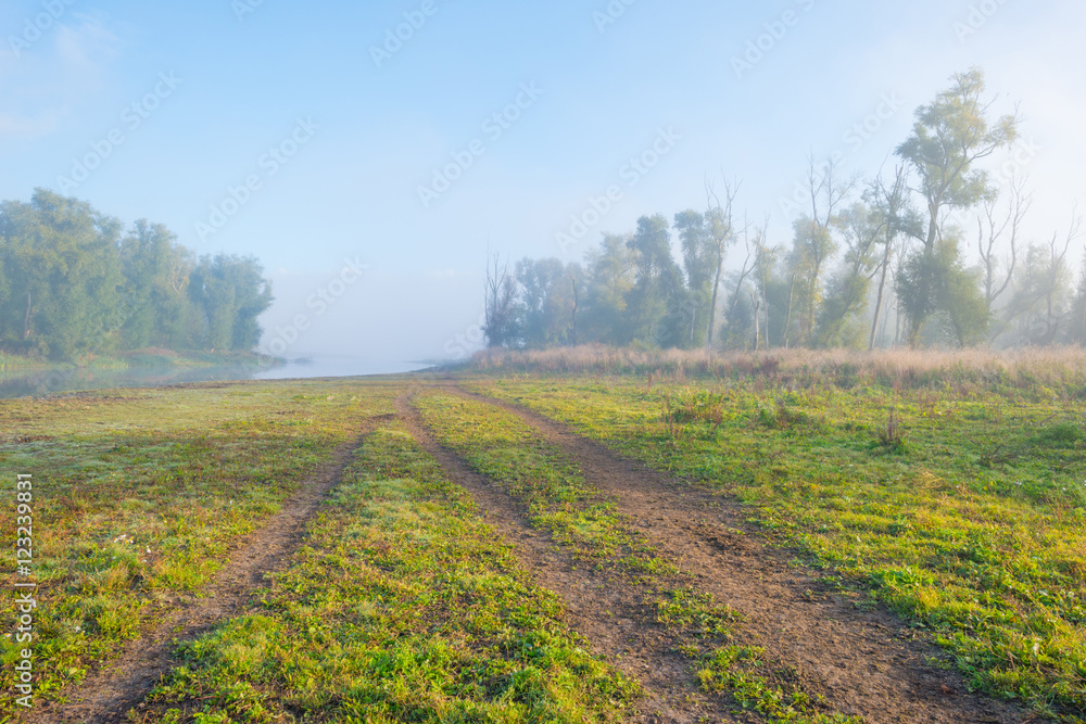 Naklejka premium Path through a foggy field at sunrise