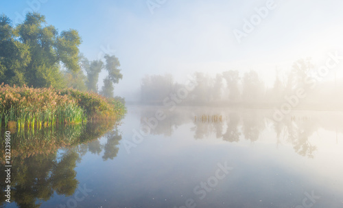 Shore of a foggy lake at sunrise in autumn