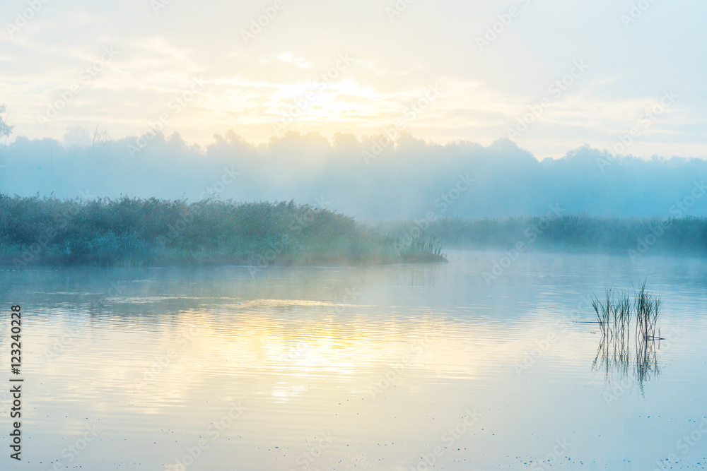 Fototapeta premium Shore of a foggy lake at sunrise in autumn
