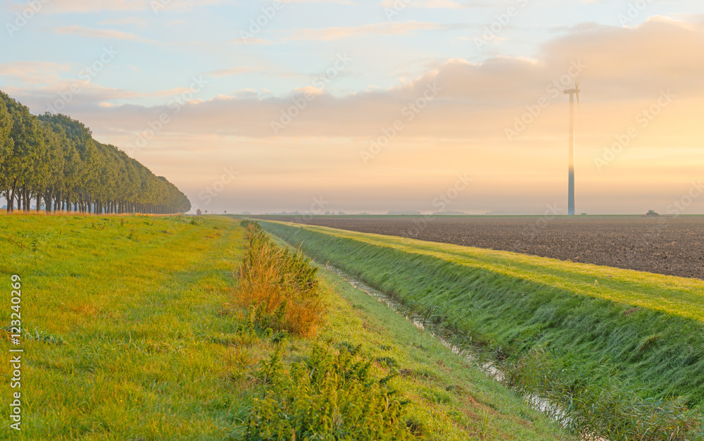 Fototapeta premium Wind turbine in a foggy field at sunrise