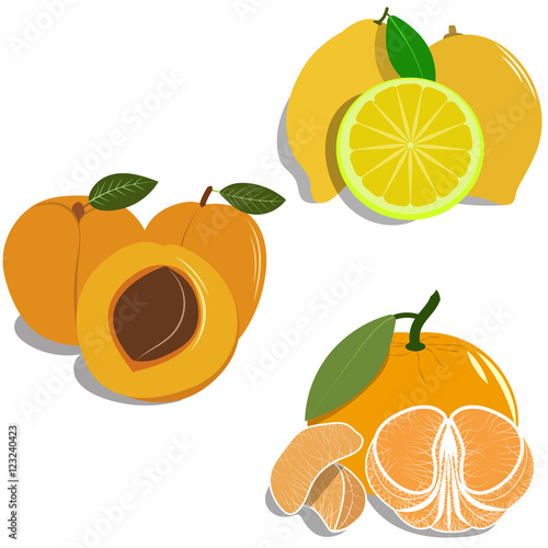 group of different fruit, vector flat