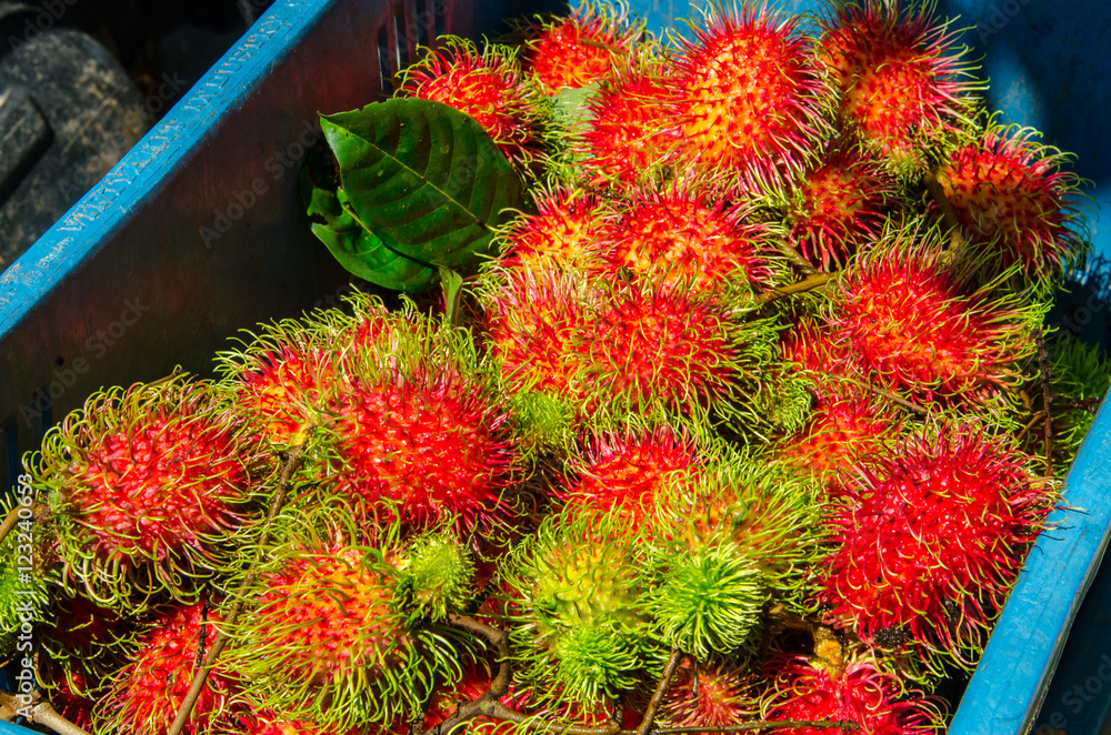 Fresh Thai rambutan