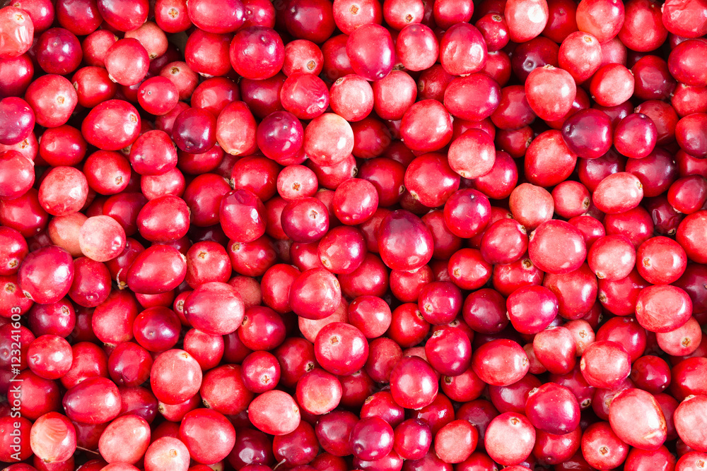 Full frame background texture of ripe cranberries Full frame background texture of ripe cranberries