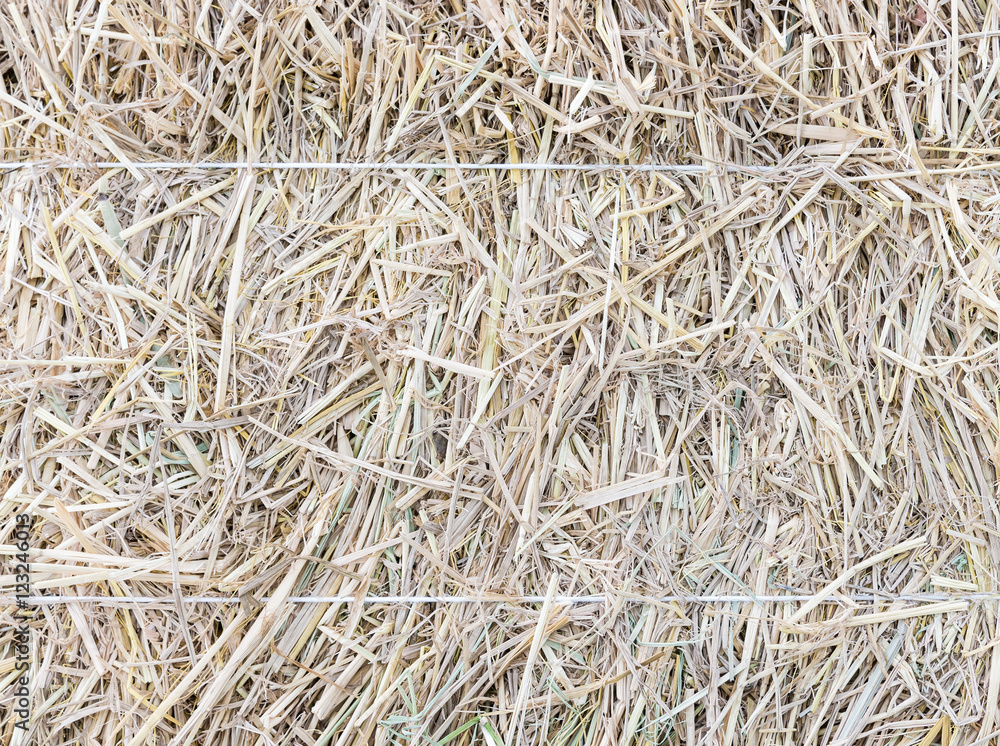 The texture of haystack with white rope. The texture of haystack with white rope.