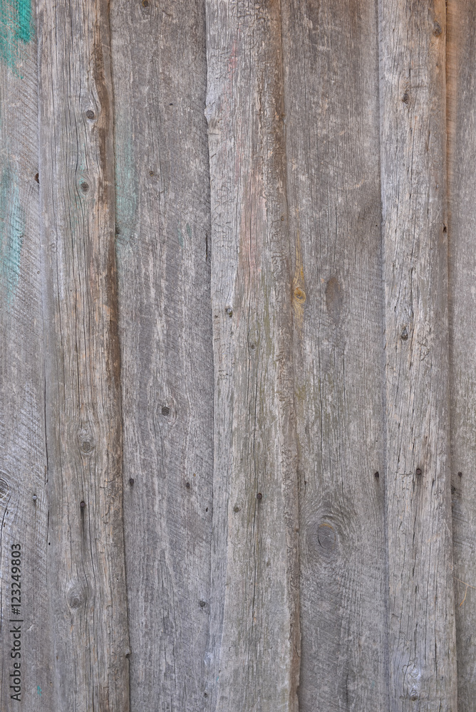 texture wood gray texture wood gray
