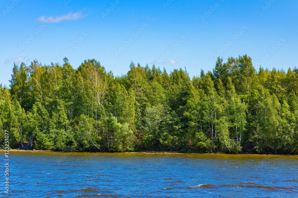 body of water in the park is overgrown mud body of water in the park is overgrown mud