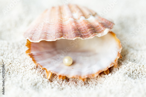 Shell and Pearl