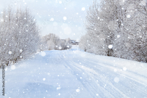 Snowy road. Winter snowfall. Trees in the snow. © scharfsinn86