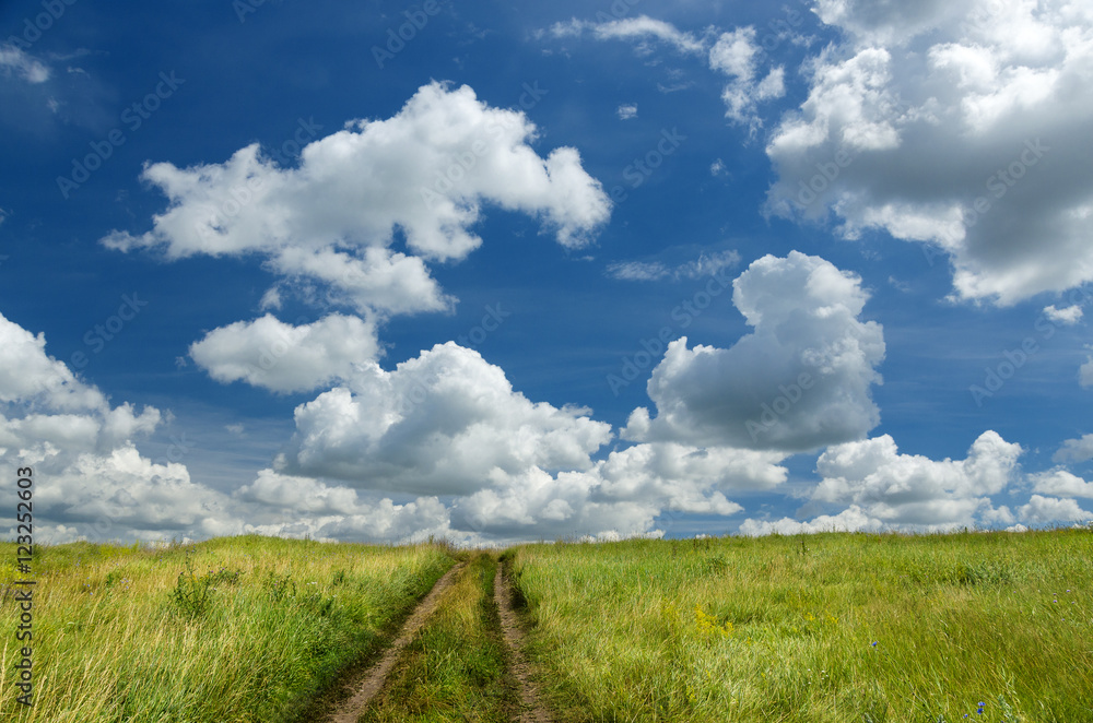 Countryside road in the meadow Countryside road in the meadow