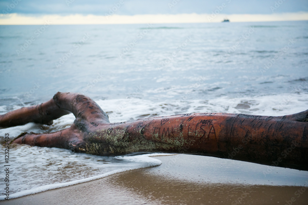 Obraz premium Zingst Weststrand