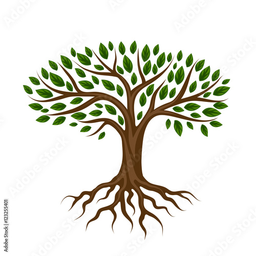 Abstract stylized tree with roots and leaves. Natural illustration