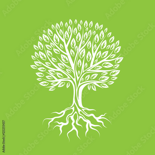 Abstract stylized tree with roots and leaves. Natural illustration