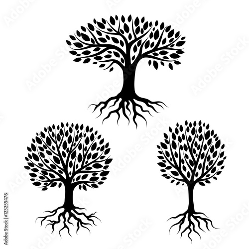Set of abstract stylized trees with roots and leaves. Natural illustration