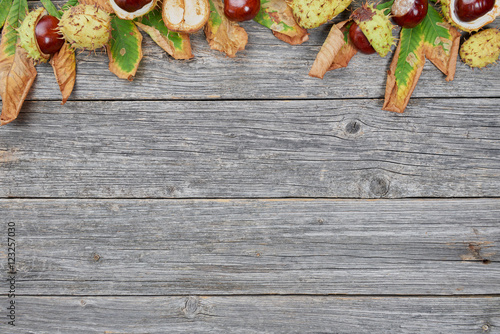 Leaves and seeds of chestnut on wooden background