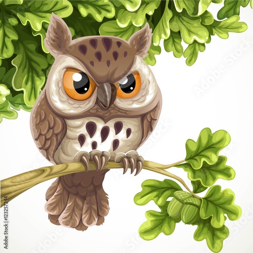 Cute cartoon owl sitting on a oak branch under a crone of leaves