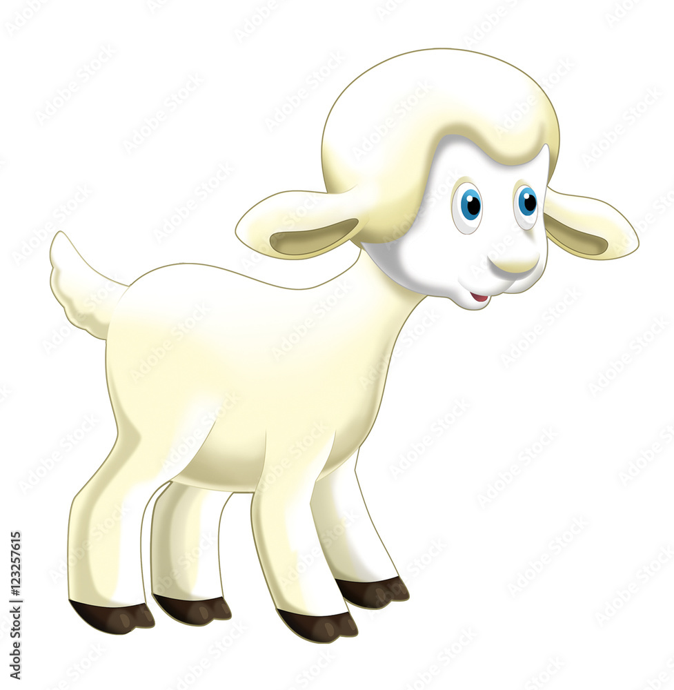Cartoon funny sheep jumping and watching - isolated - illustration for children Cartoon funny sheep jumping and watching - isolated - illustration for children