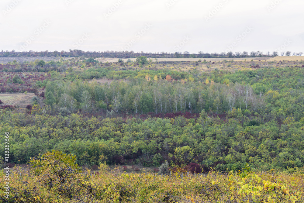 Colored forest and hills in autumn in Moldova
