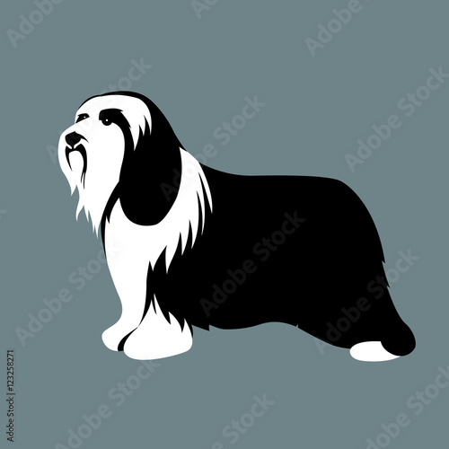 polish low land sheepdog vector illustration style