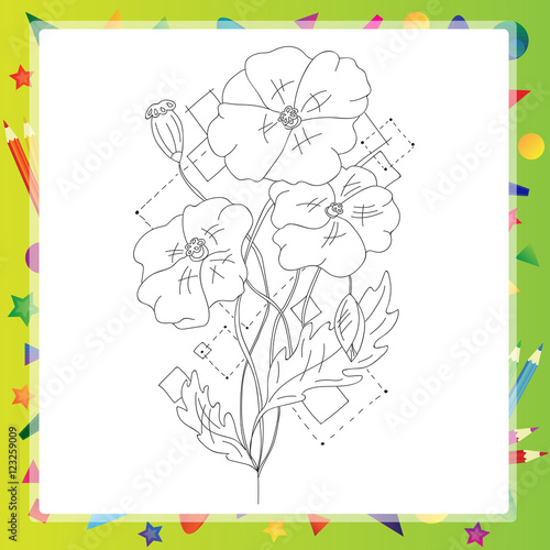 Poppy flower hand drawn vector