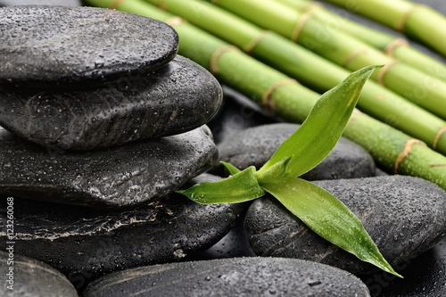 close-up basalt stones and bamboo sprout