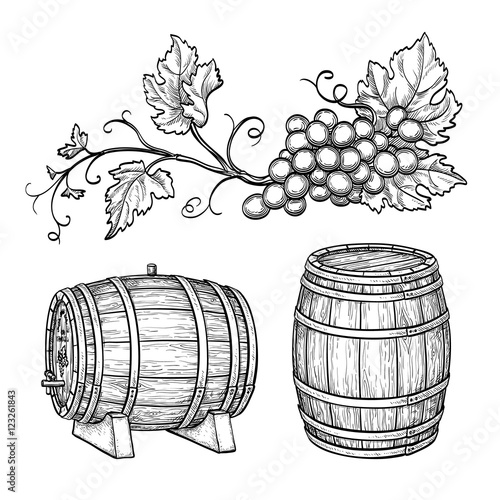 Photographie Grape branches and wine barrels.