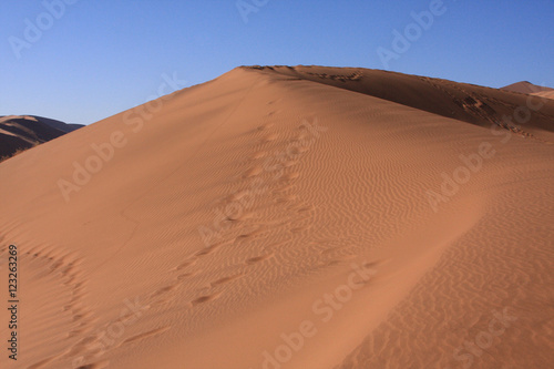 Sand   Dunes