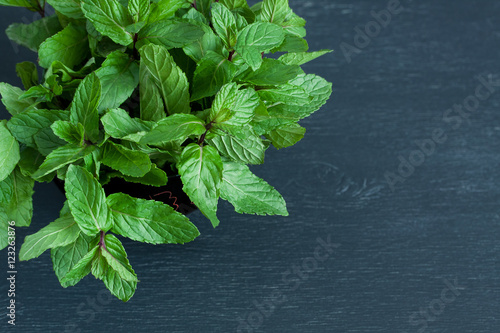 Mint leaves in wooden cup