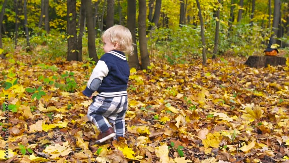 A little 1 year old baby boy is walking. in autumn park with falling leaves Slow motion A little 1 year old baby boy is walking. in autumn park with falling leaves Slow motion