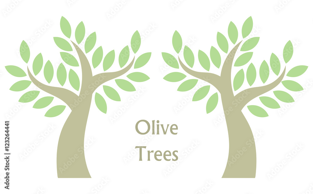 Obraz premium Olive trees vector