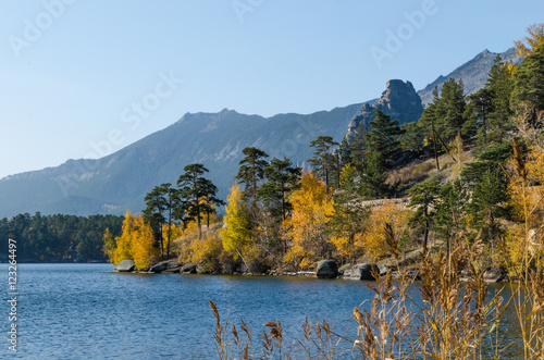 Autumn forest on the lake.