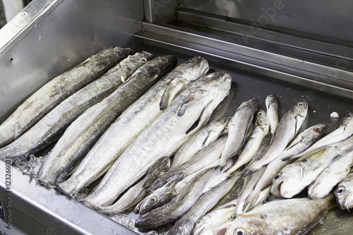 Fresh fish in a market