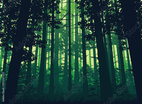 A high quality background of landscape with deep deciduous forest. Flat style.